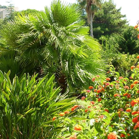 Hotel La Pinede Ajaccio  Dış mekan fotoğraf