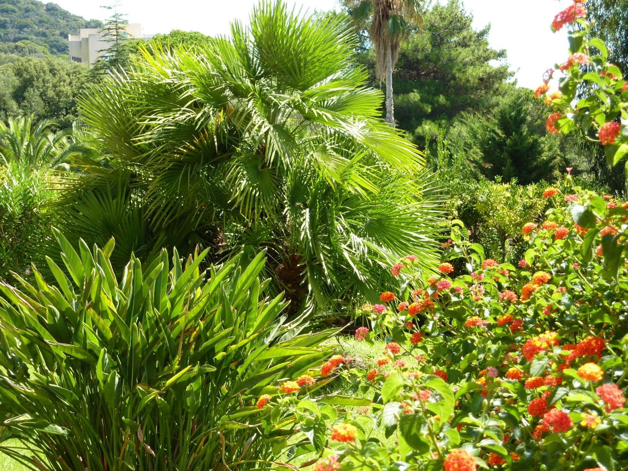 Hotel La Pinede Ajaccio  Dış mekan fotoğraf